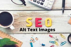 Mengoptimasi Gambar SEO Dengan Alternative Text Atau Alt Text