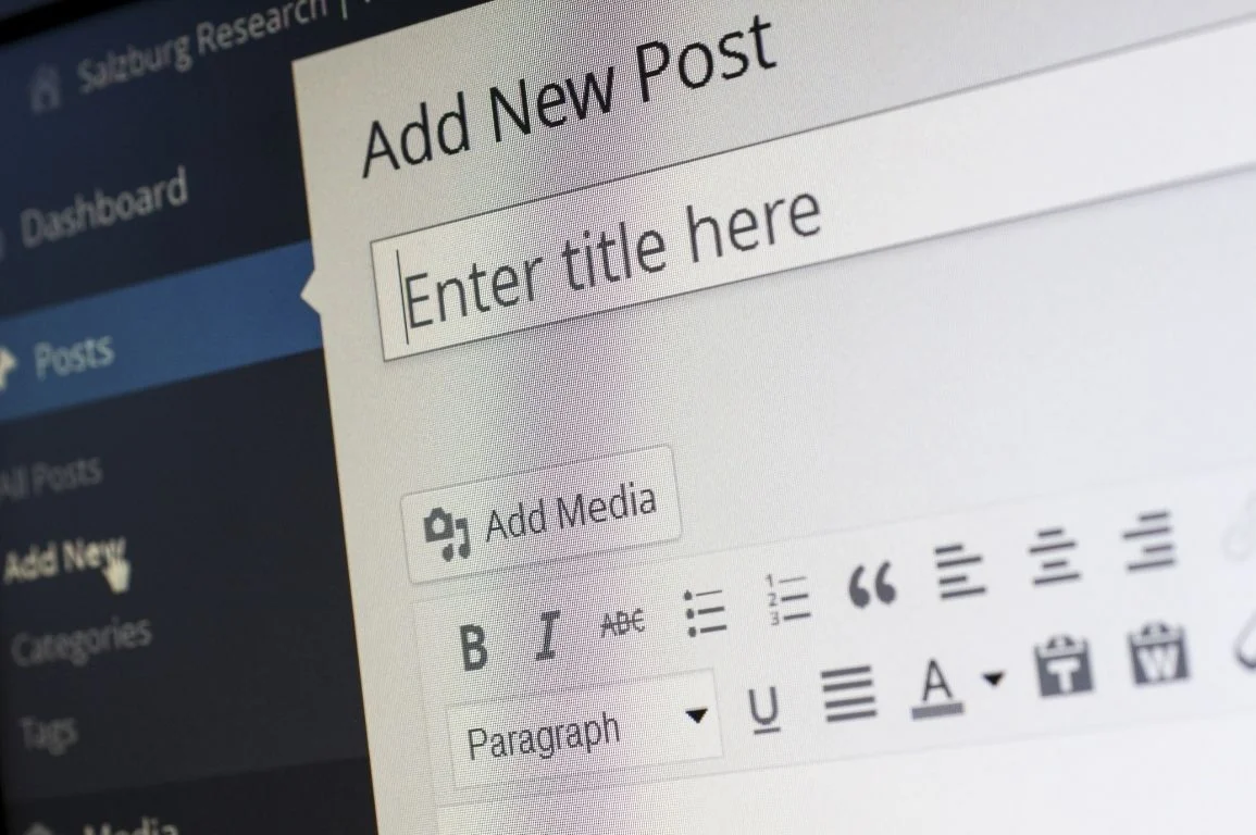 Cara Memulai Blog Profesional dan Menghasilkan Uang wordpress