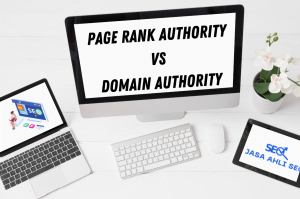 Page Rank Authority Domain Authority, Panduan Lengkap Cara