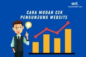 cek pengunjung website