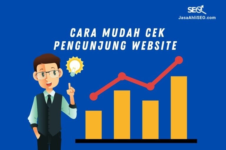 cek pengunjung website