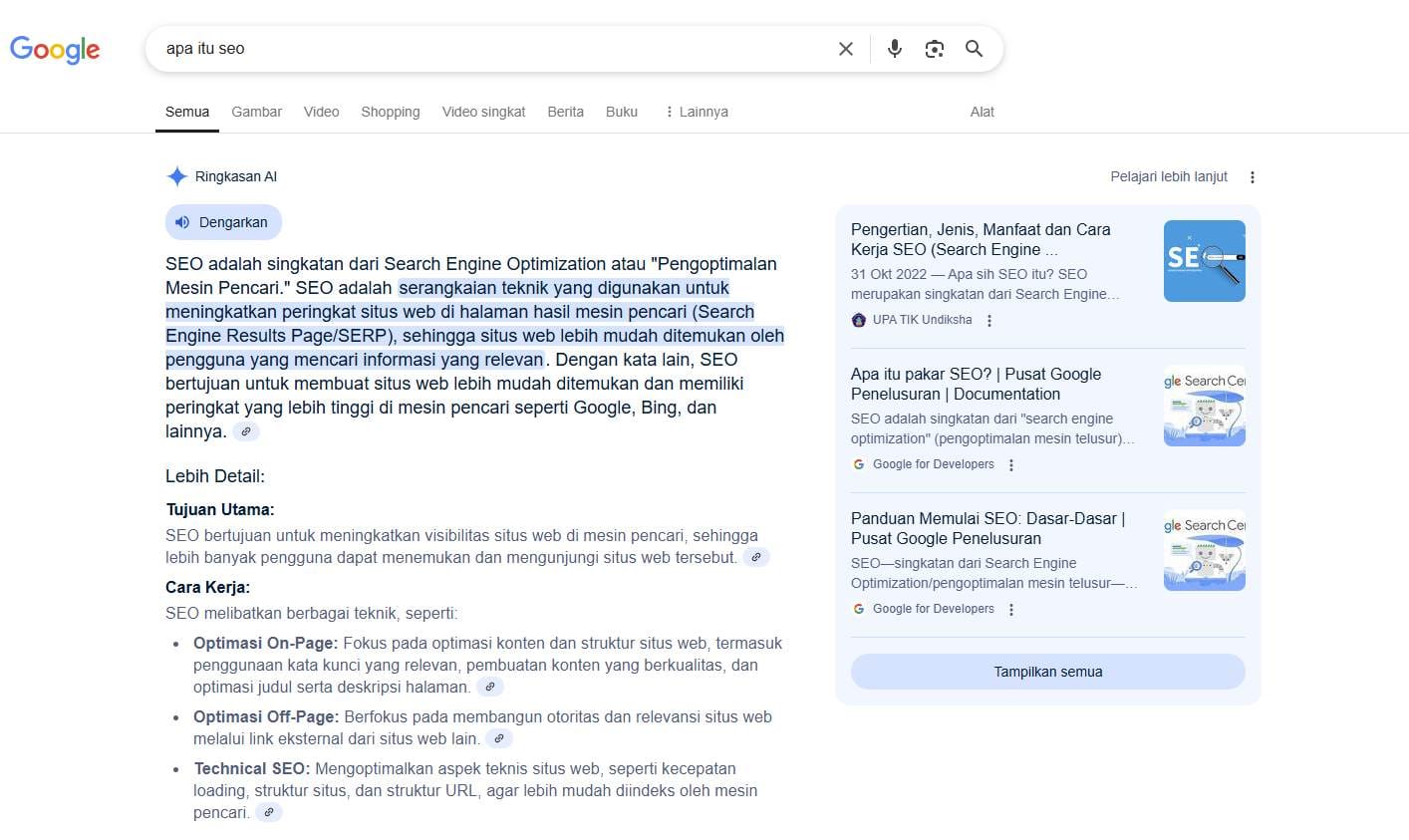 Apa Itu AI Overview