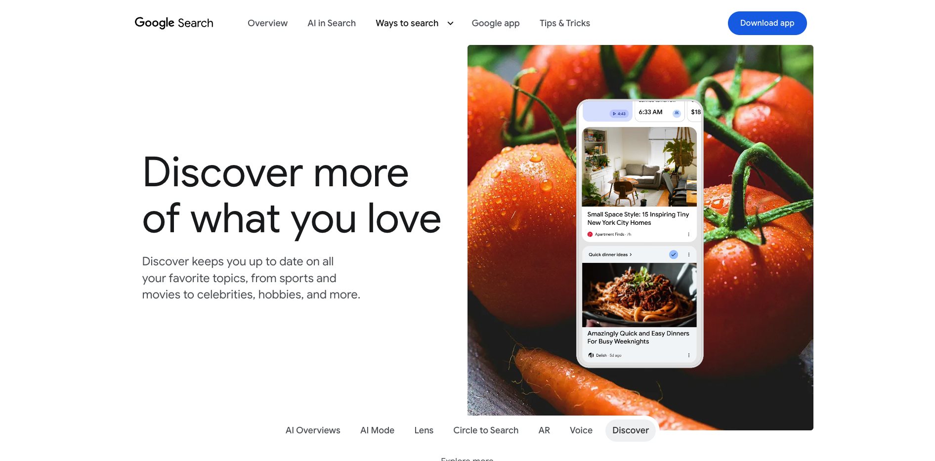 Penting! Cara Kerja Google Discover yang Wajib Diketahui cara kerja google discover